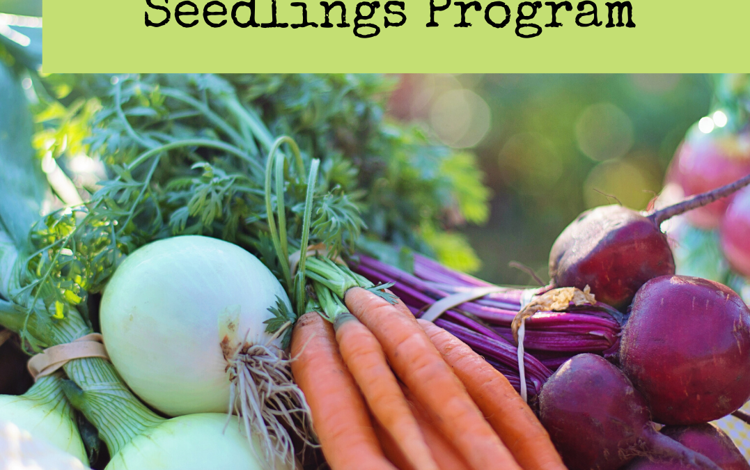 City of Victoria’s Get Growing Victoria! seedling distribution coming to Fernwood
