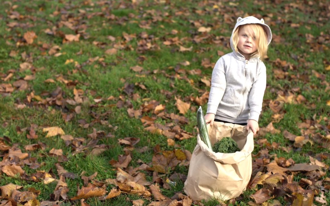 Fresh food builds resilience