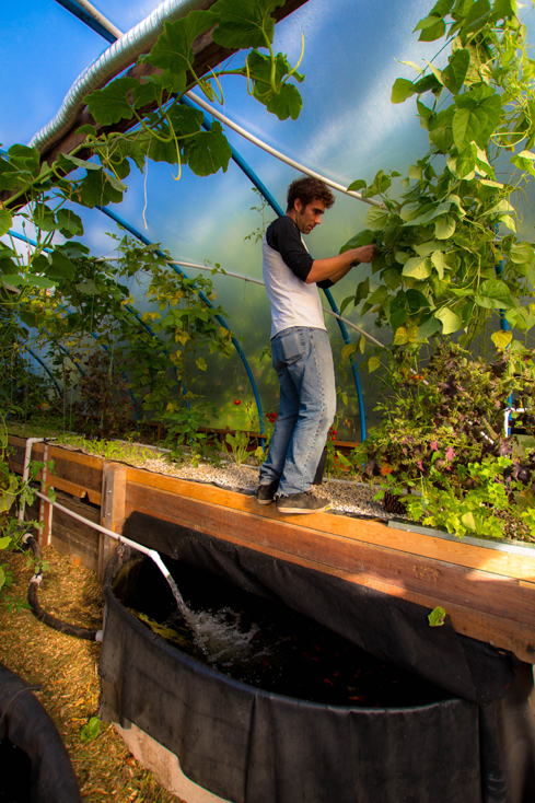 Aquaponic System - Nate Clark