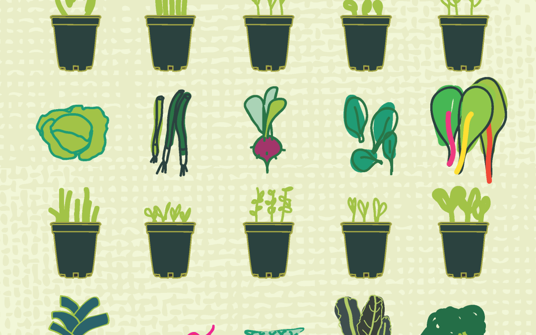 Keep your garden beds awake this winter!