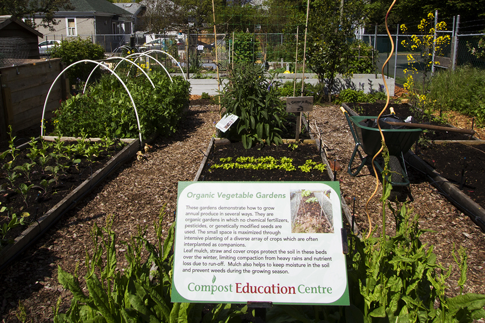 Spring Soil Prep