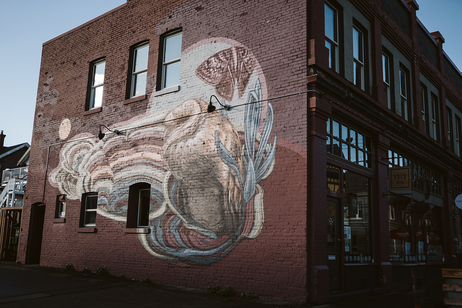 Collin Elder mural on Cornerstone Building in collaboration with Fernwood NRG in summer 2020. Photo - Aly Sibley