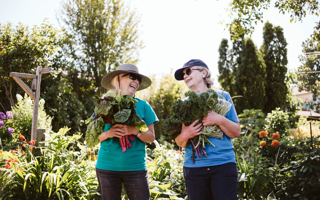 A community garden initiative