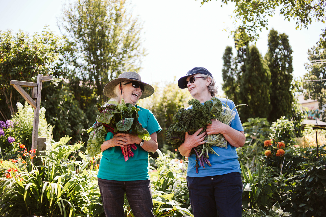 Community-Garden-VV Community-Garden-VV