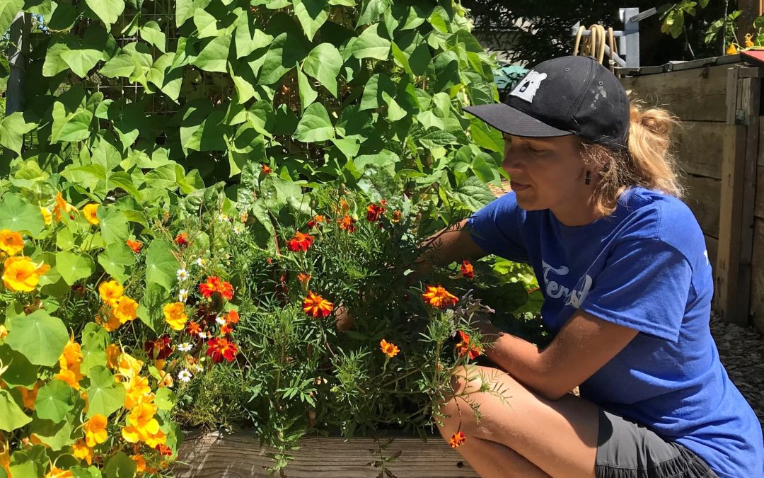Tips For a Healthy Veggie Garden