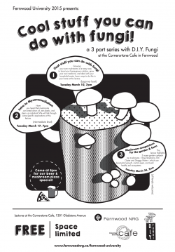 CoolStuffYouCanDoWithFungi_Poster
