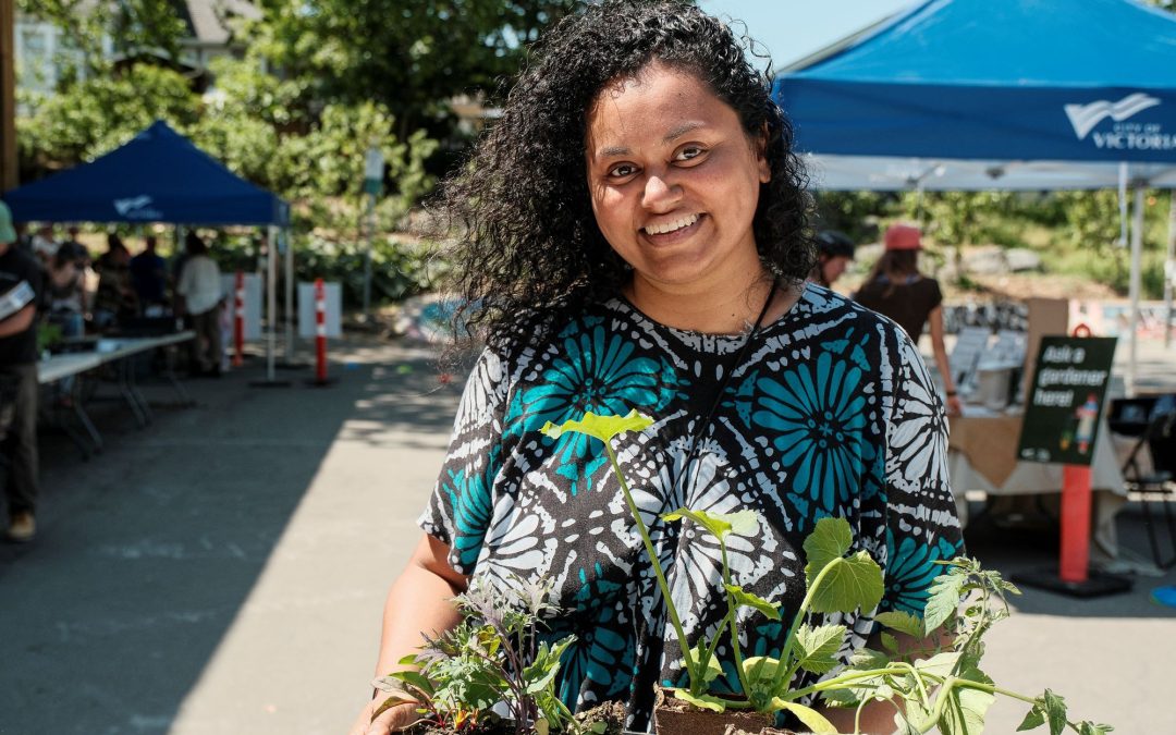 Get Growing, Victoria! Free veggie seedling distribution returns to Fernwood
