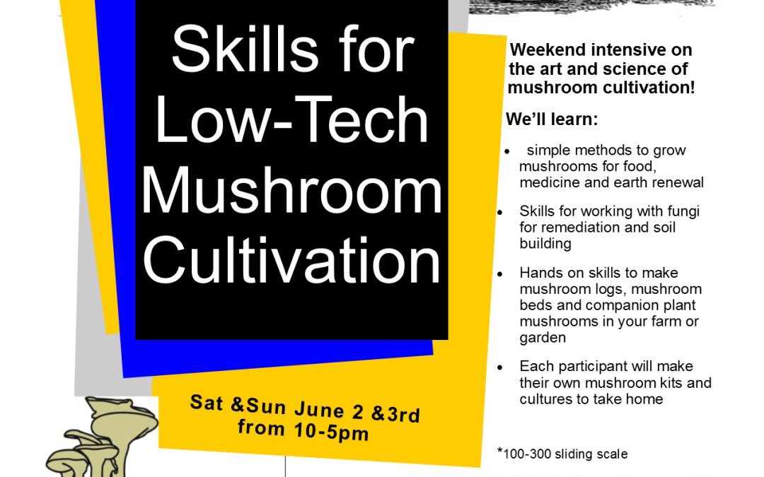 Skills for Low-Tech Mushroom Cultivation, course in Vic West