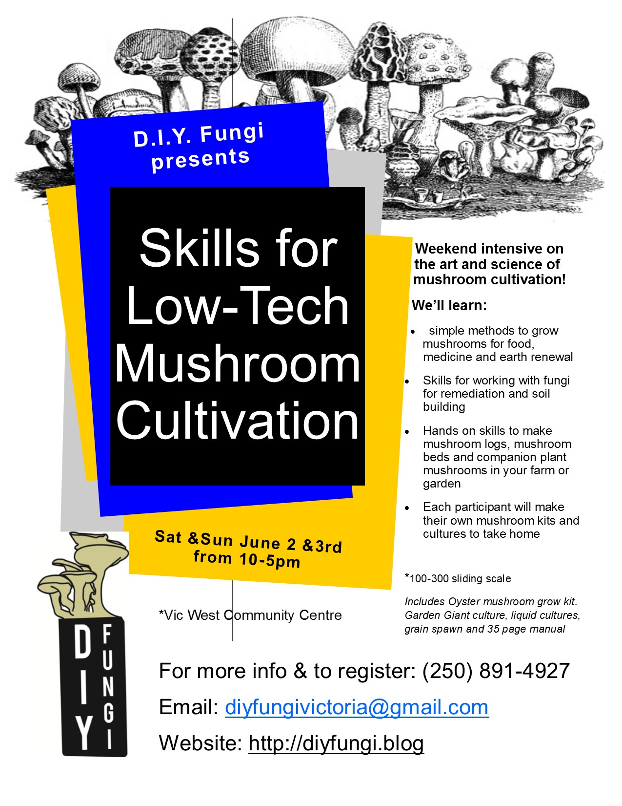 DIY-Fungi-Poster-June-2018 DIY-Fungi-Poster-June-2018