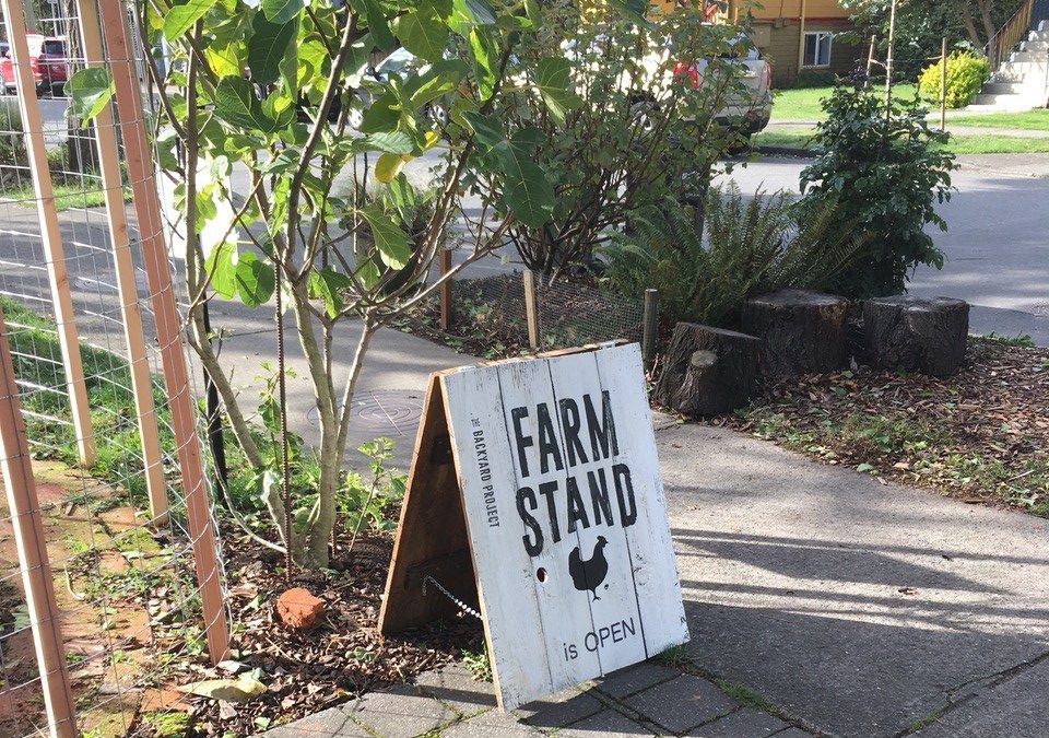 The Backyard Project Farm Stand: So much more than food
