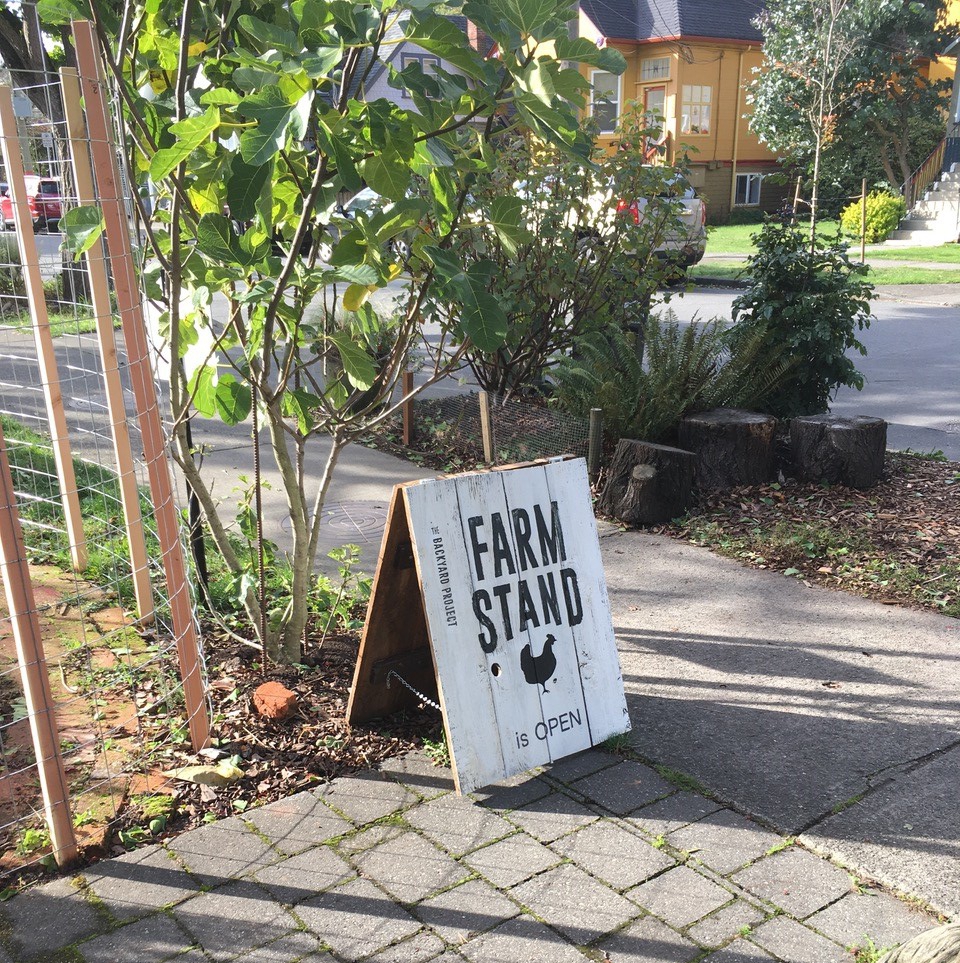 Farm Stand Photo by Marianne Unger