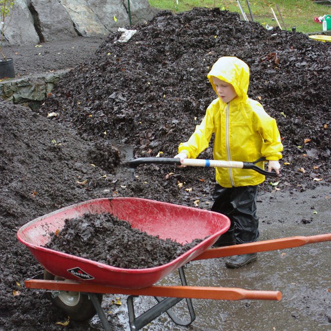 Feed the soil; not just the plant