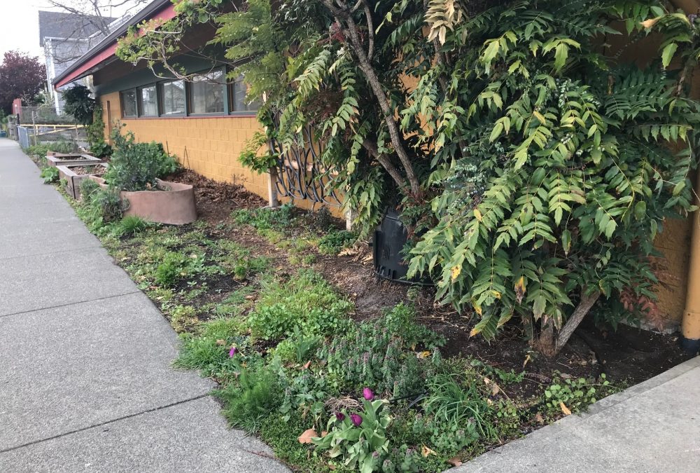 Garden Work Party – April 27, 2019