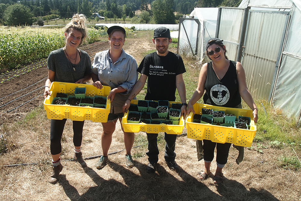 Fernwood Helping Hands: Diverting usable produce from the compost pile to your plate