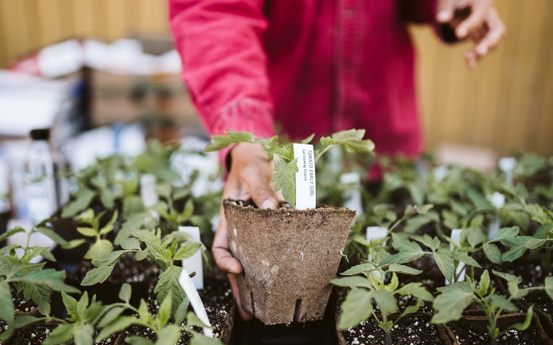 Growing season begins