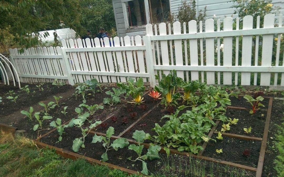 You’re Invited: Fernwood Homsteads’ Open House