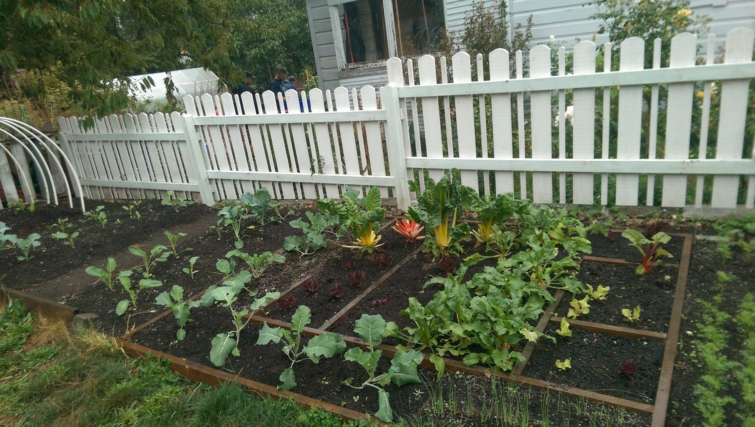 Fernwood Homesteads