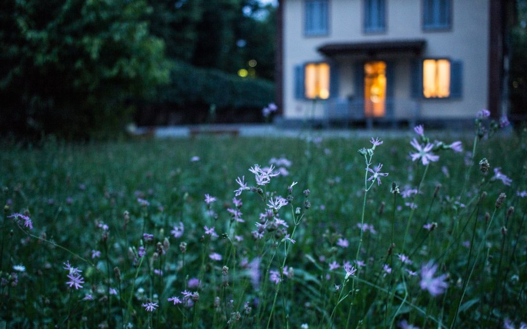 Strategies for reducing garden maintenance