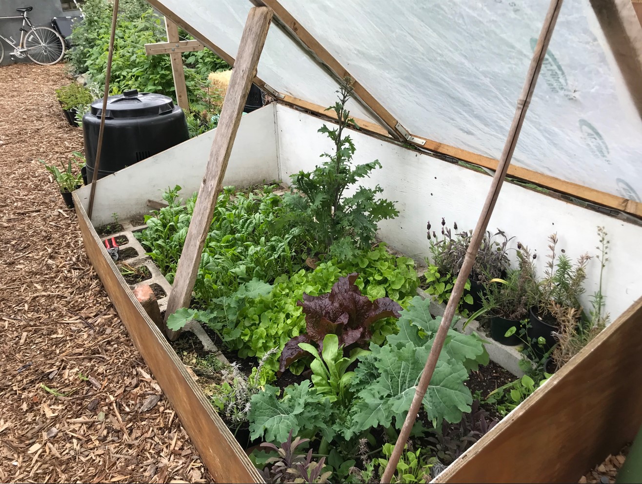 Gardening in small spaces