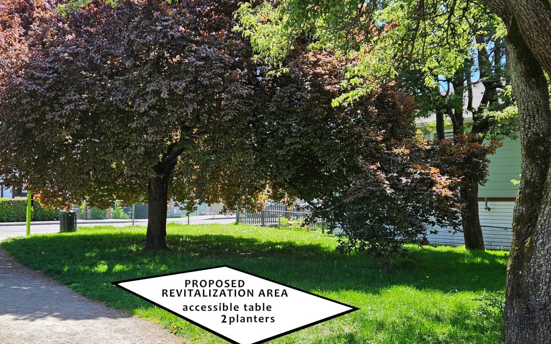 Gower Park Project & Land Use feedback