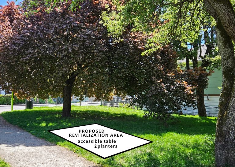Gower Park Proposed Table Area