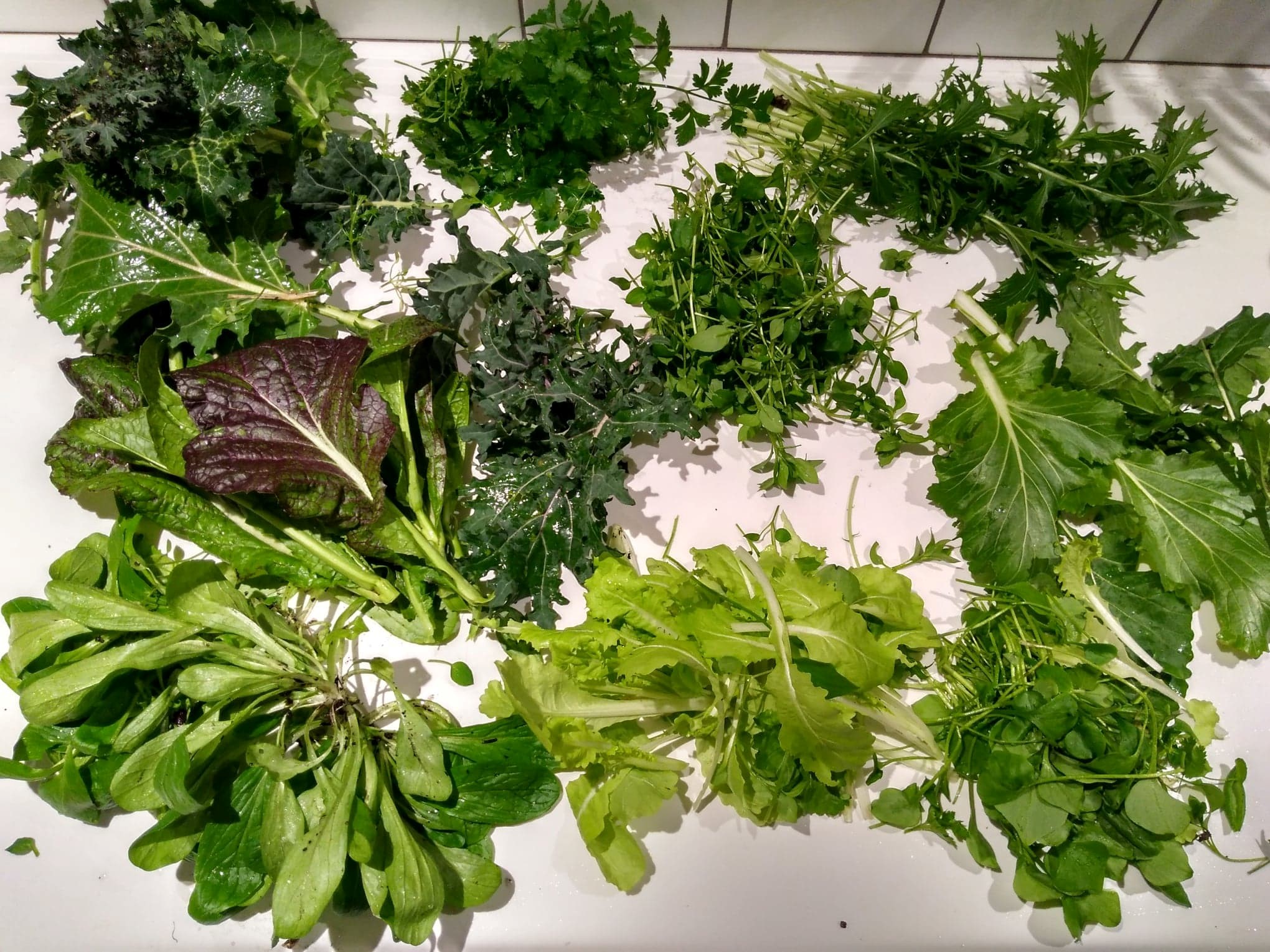 Greens Greens