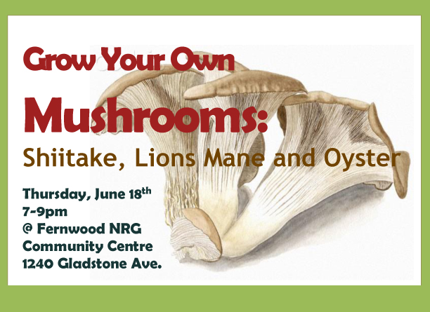 Mushroom Workshops coming up!