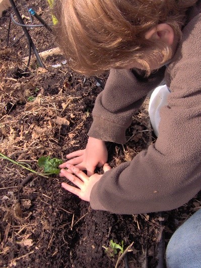 Healing City Soils – Understanding the ground beneath our feet