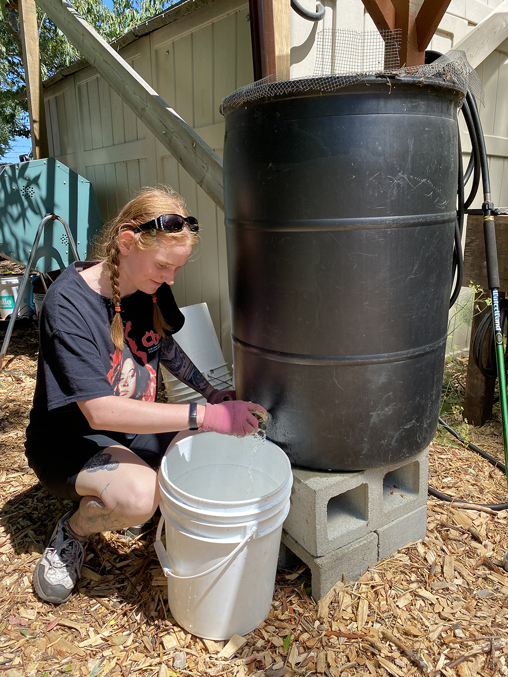 IMG_1020 Rain barrel