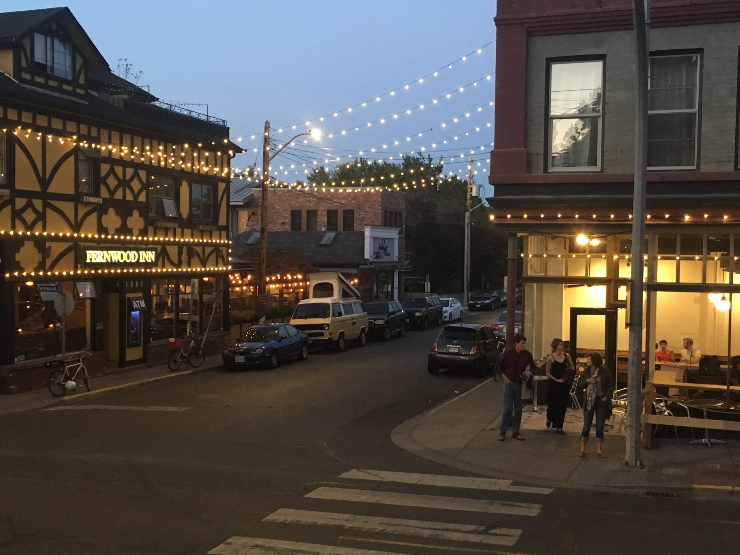 Summer evening in Fernwood. Photo: Ruben Anderson