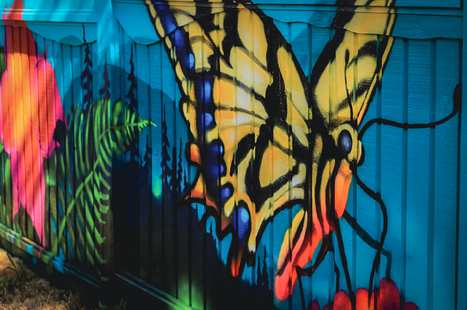 Ian George – Fernwood Mural Festival – Fernwood NRG Ian George - Fernwood Mural Festival - Fernwood NRG
