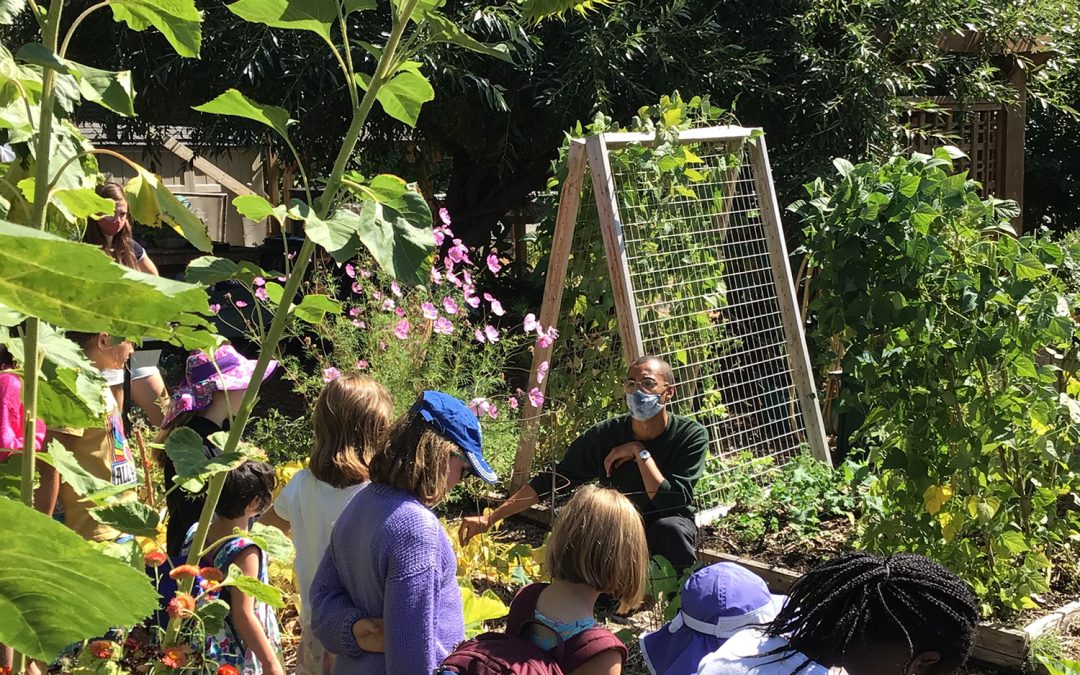 Gardens are for gathering