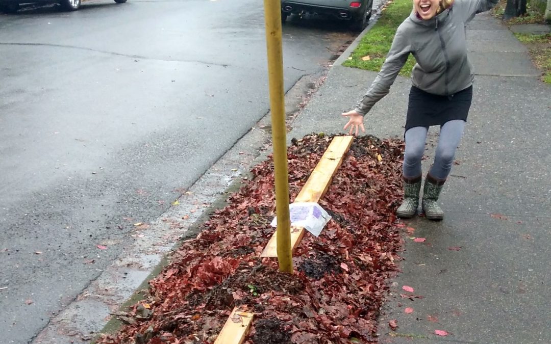 Build new beds easily this winter