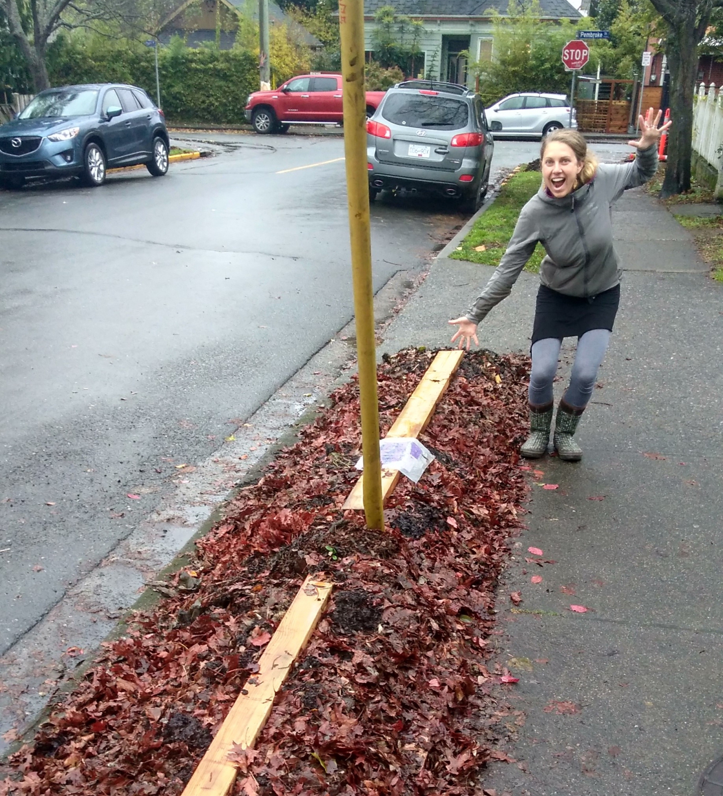 Sheet Mulch