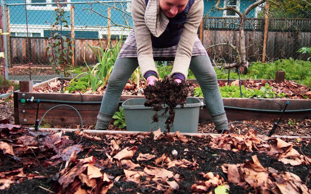 Amend your soil