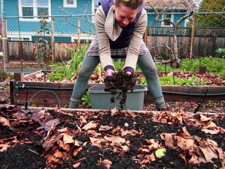 Kayla Amend your soil