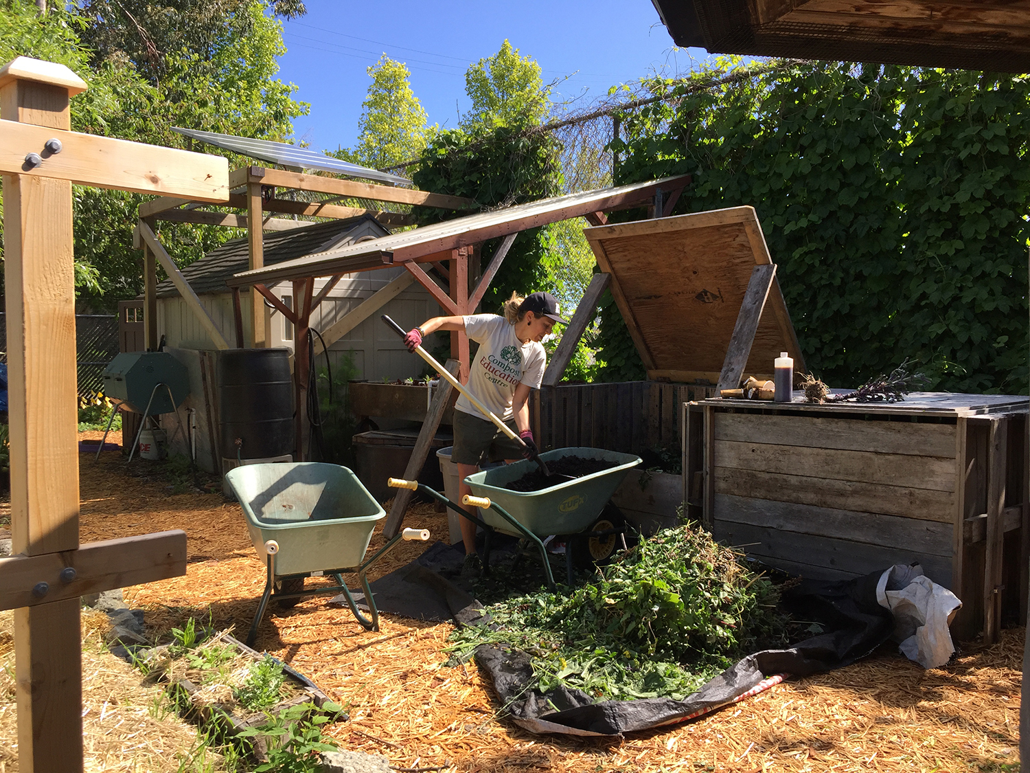 Kayla in the garden