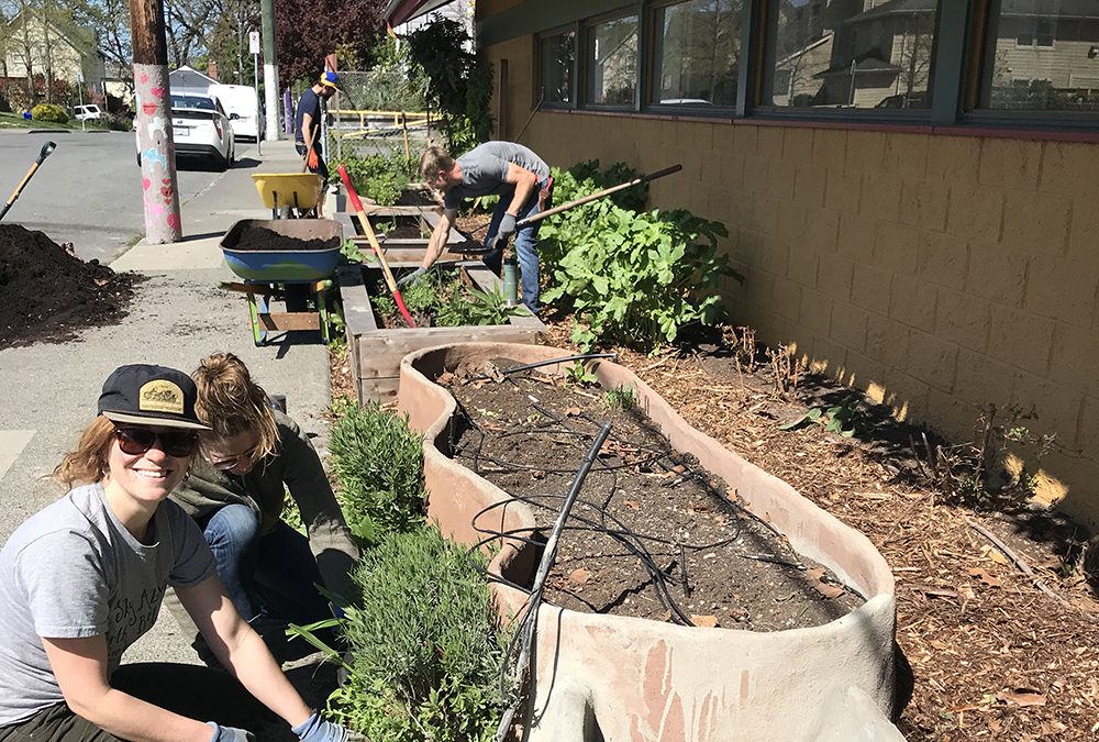 Fall Garden Work Party