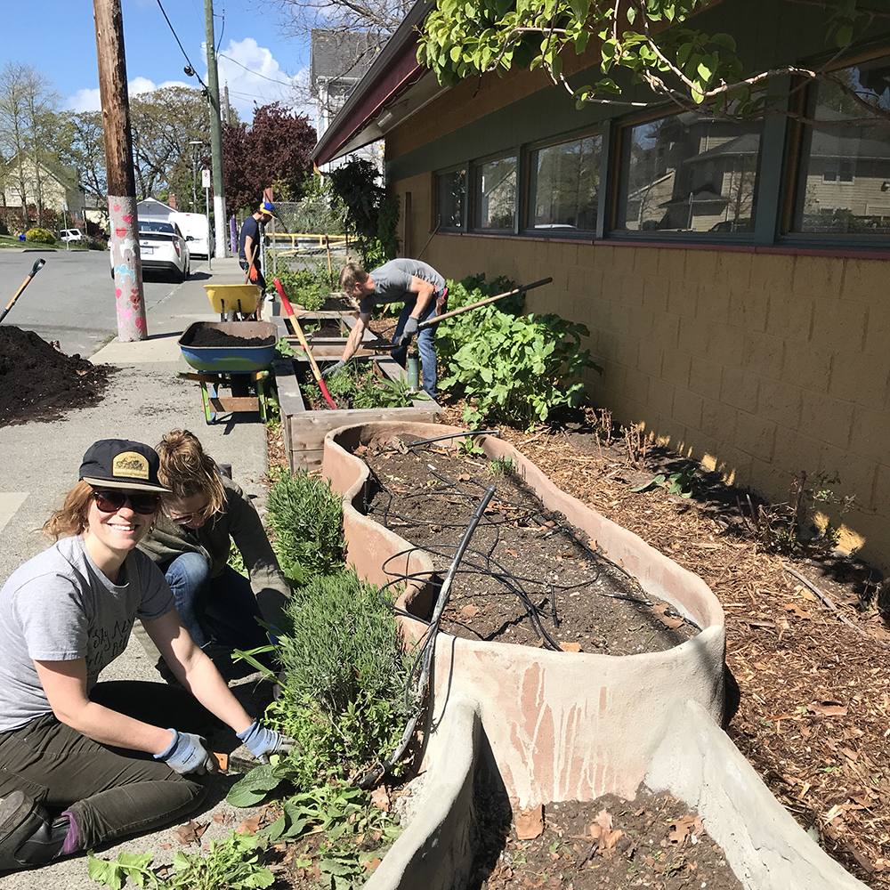 Kitchen Garden Work Party