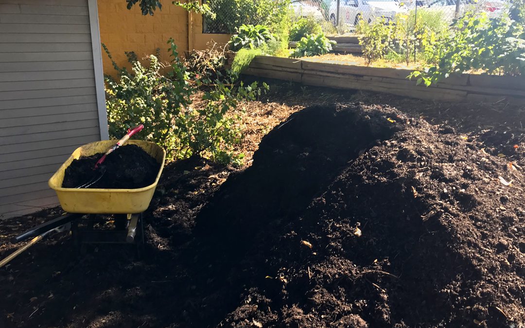 City of Victoria sponsors free leaf mulch and compost