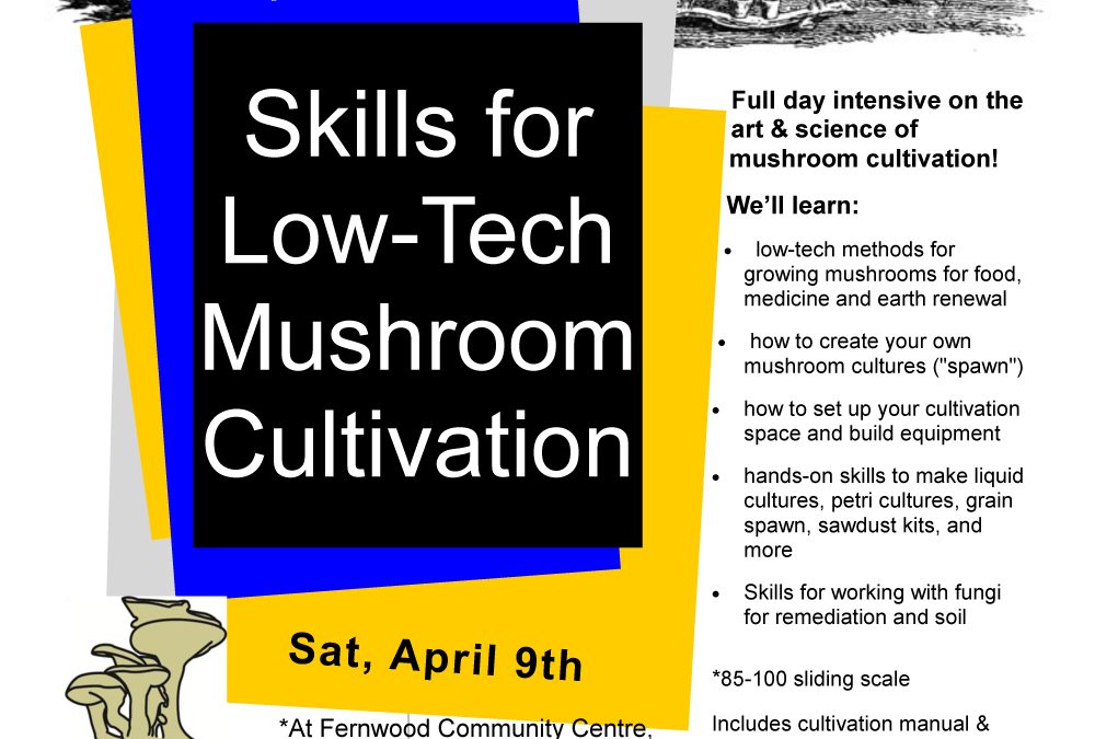 Skills for Low-tech Mushroom Cultivation – April 9, 2016