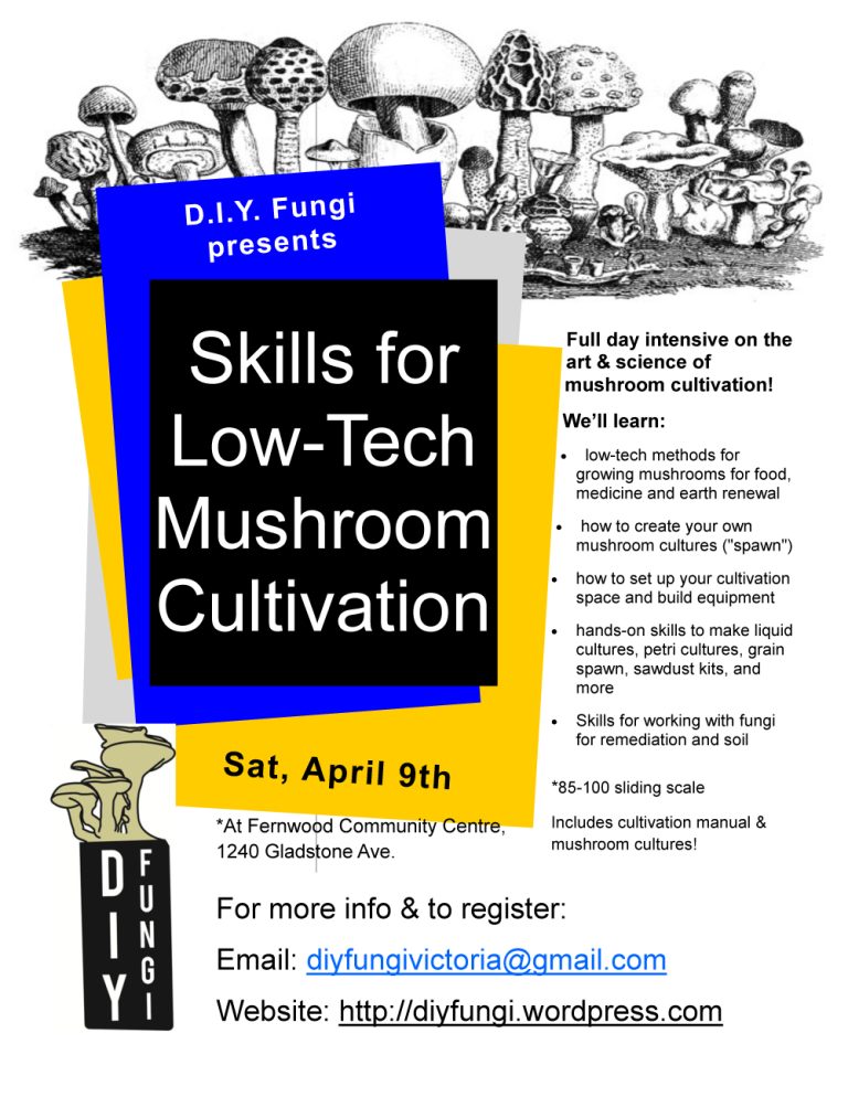 Mushroom Cultivation Intensive
