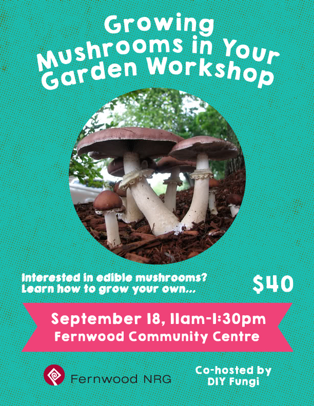 MushroomWorkshop_FernwoodNRG_2016-01