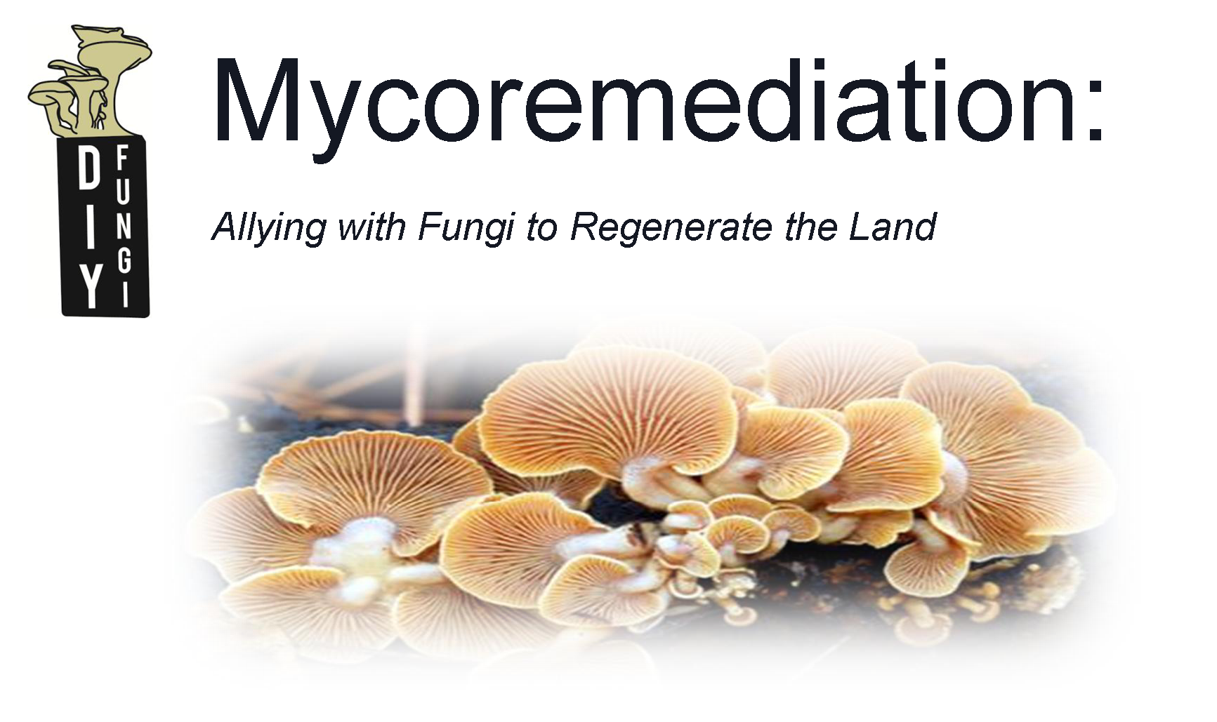 Mycoremediation-DIYFungi-FernwoodNRG-Victoria-Header
