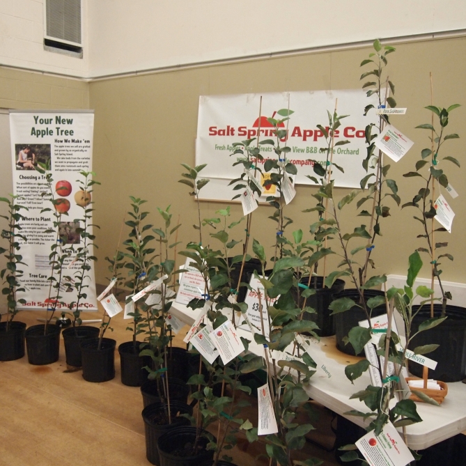 garden gleanings: Fruit Trees 101