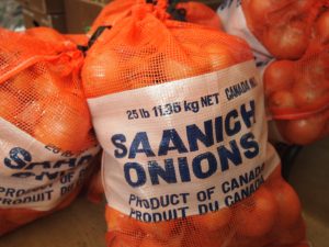 Saanich Onions