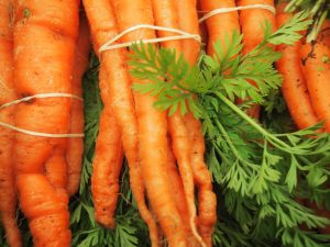 Local Organic Carrots