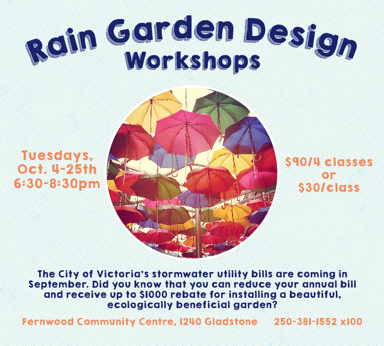 Rain Garden Design Fall Workshop Series – Starting October 4, 2016