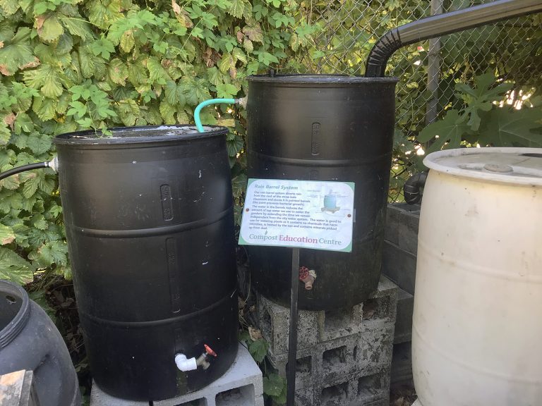 Rainwater Catchment