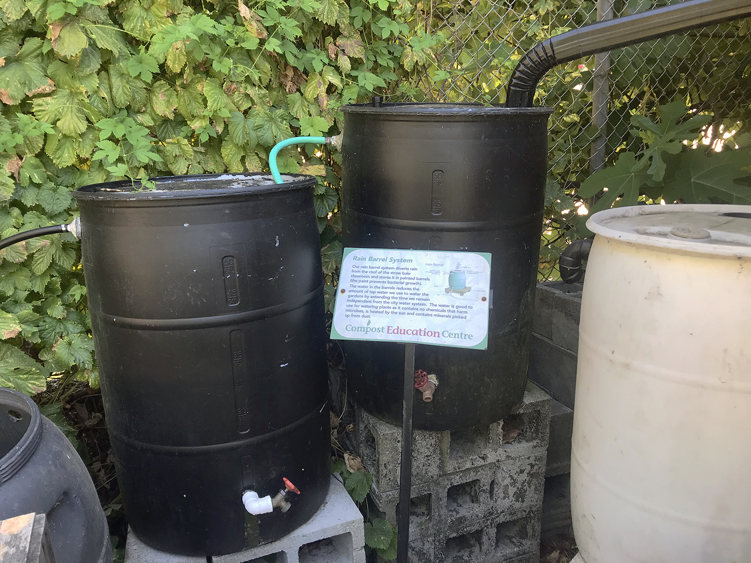 Rainwater Catchment